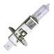 LAMPADA H1 55W